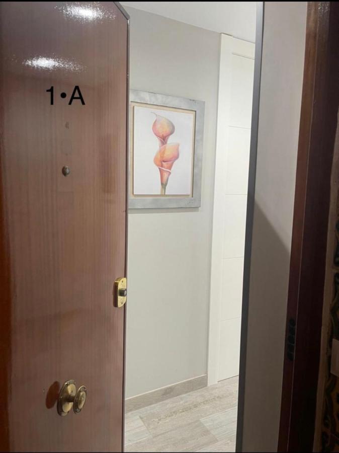 Viana Rooms קורדובה מראה חיצוני תמונה